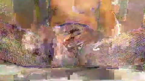 Snapshot of blackbigdickfr chatting on 12-20-25, 12:34 blackbigdickfr online show from 12-20-25, 12:34