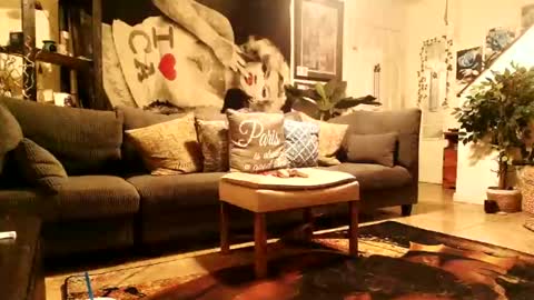 Snapshot of blackriches96 chatting on 02-14-26, 08:33 blackriches96 online show from 02-14-26, 08:33