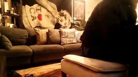 Snapshot of blackriches96 chatting on 02-17-26, 03:58 blackriches96 online show from 02-17-26, 03:58