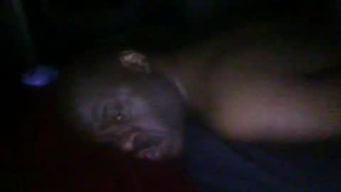 Snapshot of blackteddybear chatting on 02-19-26, 06:20 blackteddybear online show from 02-19-26, 06:20