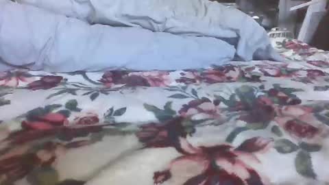 Snapshot of blame1269 chatting on 10-27-25, 07:07 blame1269 online show from 10-27-25, 07:07