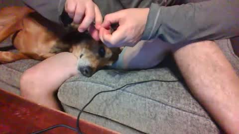 blaw_1321 online show from 12-21-24, 12:53