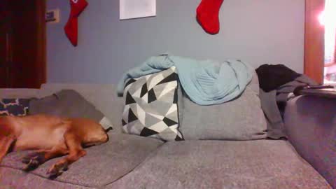 blaw_1321 online show from 12-26-24, 12:14