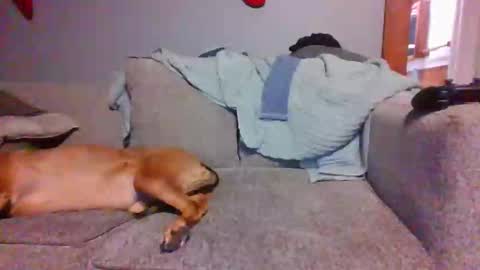 blaw_1321 online show from 12-28-24, 10:55