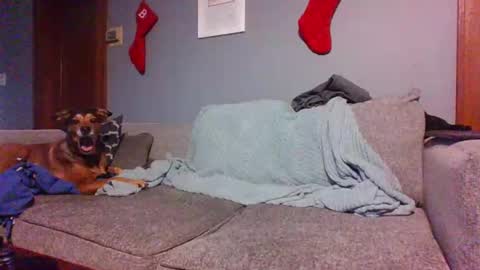 blaw_1321 online show from 12-30-24, 08:36