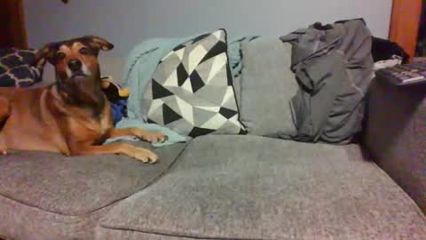 blaw_1321 online show from 01-04-25, 05:37