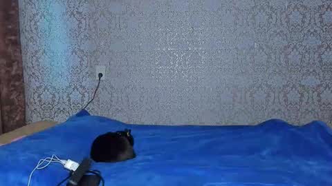 bloemetjes online show from 10-07-25, 11:35