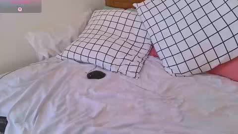 Sasha online show from 02-02-26, 07:51