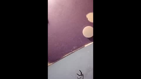 blue17562 online show from 04-11-26, 03:16