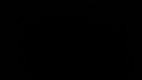 Snapshot of blue_morningstar chatting on 10-13-25, 10:32 bunbury online show from 10-13-25, 10:32