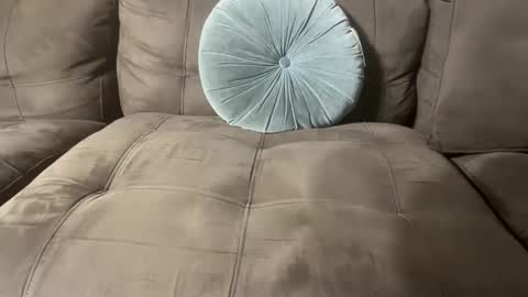 Snapshot of bluegreenish chatting on 10-27-25, 11:41 bluegreenish online show from 10-27-25, 11:41