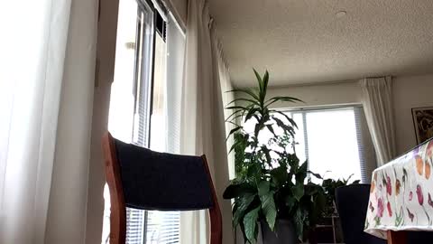 Blueyedudeseattle online show from 09-21-25, 06:42