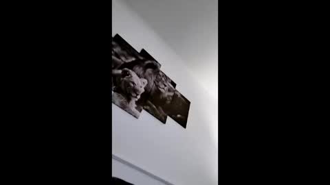 bobby160968 online show from 01-08-26, 06:43