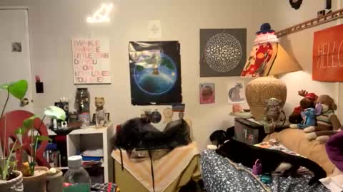 bobbyq2969 online show from 11-13-25, 03:38