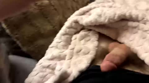 bobdillon401 online show from 01-10-25, 06:20