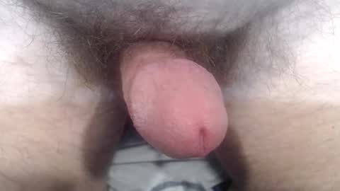 bobswan online show from 10-24-25, 03:41