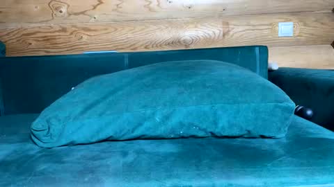 Nail and Olivia online show from 10-21-25, 09:10