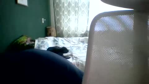 bomba8111 online show from 01-20-25, 11:45