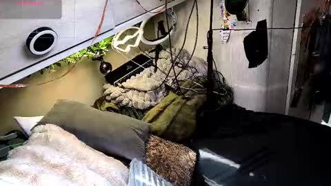 Bonnie and Clyde online show from 03-09-26, 12:31