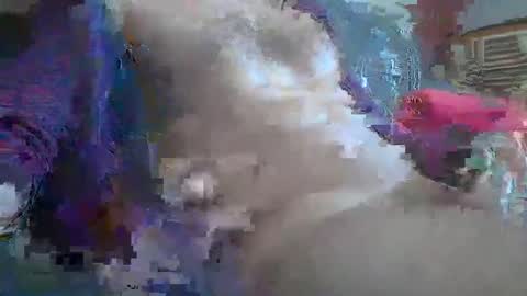 Snapshot of bonnieclyde90 chatting on 10-12-25, 10:58 bonnieclyde90 online show from 10-12-25, 10:58