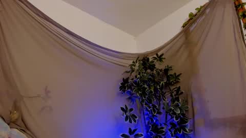   online show from 10-11-25, 11:47