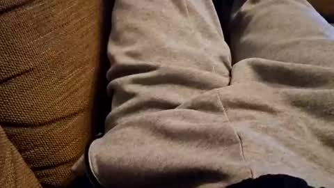 Snapshot of bonny8723 chatting on 12-22-24, 07:42 bonny8723 online show from 12-22-24, 07:42