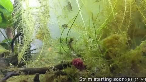 Booker Baxton online show from 12-05-24, 04:09