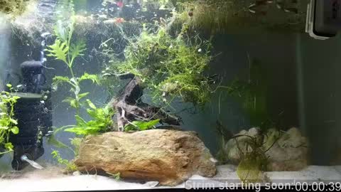 Booker Baxton online show from 12-07-24, 04:09