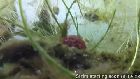 Booker Baxton online show from 12-29-24, 04:05