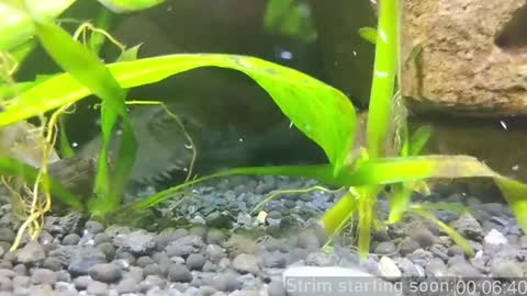 Booker Baxton online show from 01-14-25, 04:04