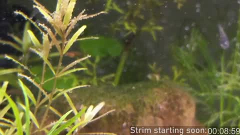 Booker Baxton online show from 01-19-25, 04:01