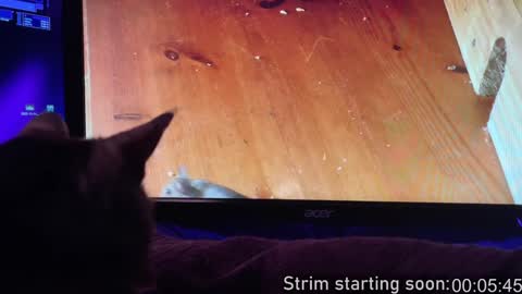 Booker Baxton online show from 02-02-25, 04:05