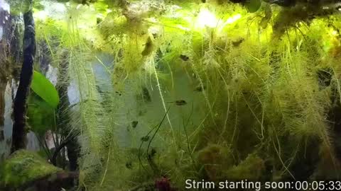 Booker Baxton online show from 02-04-25, 04:05