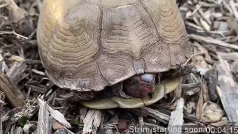 Booker Baxton online show from 03-09-25, 04:05