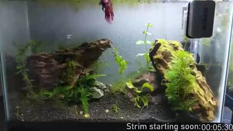 Booker Baxton online show from 10-10-25, 03:05