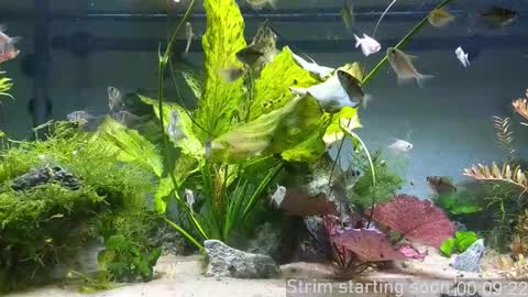 Booker Baxton online show from 12-03-25, 03:58