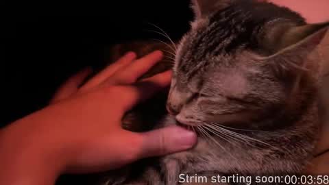 Booker Baxton online show from 02-12-26, 04:07