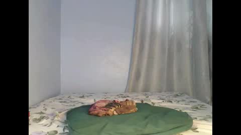 sandrah online show from 09-26-25, 06:50