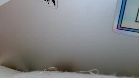 Rue online show from 12-18-24, 04:06