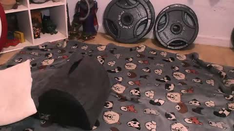 Snapshot of bouncinbooty chatting on 04-10-26, 06:29 Pumpkin Butt online show from 04-10-26, 06:29