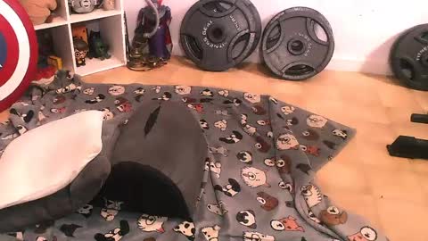 Snapshot of bouncinbooty chatting on 04-11-26, 07:51 Pumpkin Butt online show from 04-11-26, 07:51