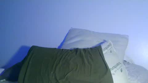 Snapshot of bowser2334 chatting on 12-30-24, 04:20 Jason Jax online show from 12-30-24, 04:20