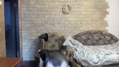 Snapshot of boyapollon chatting on 12-24-24, 12:11 BoyApollon online show from 12-24-24, 12:11