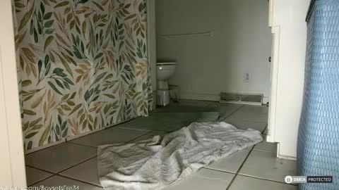 Snapshot of boysetsfire34 chatting on 02-18-26, 05:53 boysetsfire34 online show from 02-18-26, 05:53