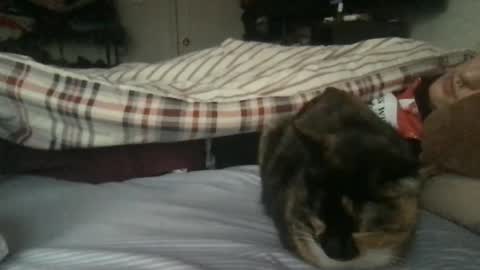 Snapshot of boywithbug chatting on 02-13-25, 10:54 boywithbug online show from 02-13-25, 10:54