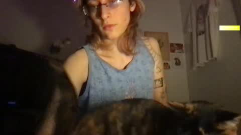 Snapshot of boywithbug chatting on 03-11-25, 04:54 boywithbug online show from 03-11-25, 04:54