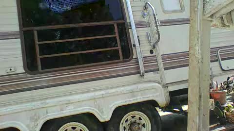 Snapshot of bpdbrittany chatting on 02-09-25, 05:33 bpdbrittany online show from 02-09-25, 05:33