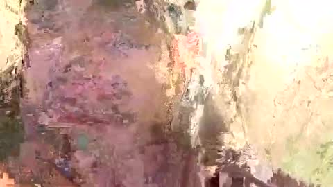 Brandon online show from 01-14-25, 11:53