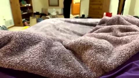 Snapshot of brandondot chatting on 12-16-24, 07:26 brandondot online show from 12-16-24, 07:26