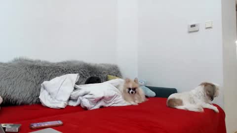 Snapshot of bratzdoll1994 chatting on 11-04-25, 05:12 bratzdoll1994 online show from 11-04-25, 05:12